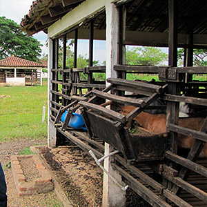 Finca Herencia establo de cabras José María Borrero