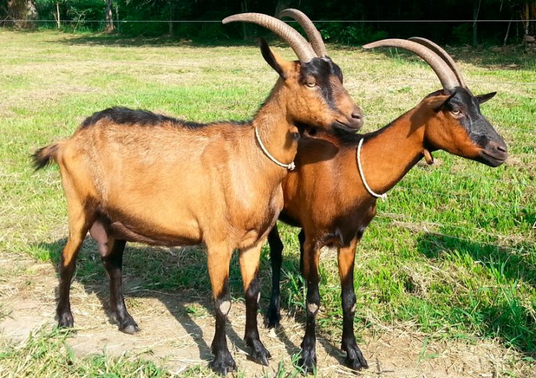 Leticia y Esperanza