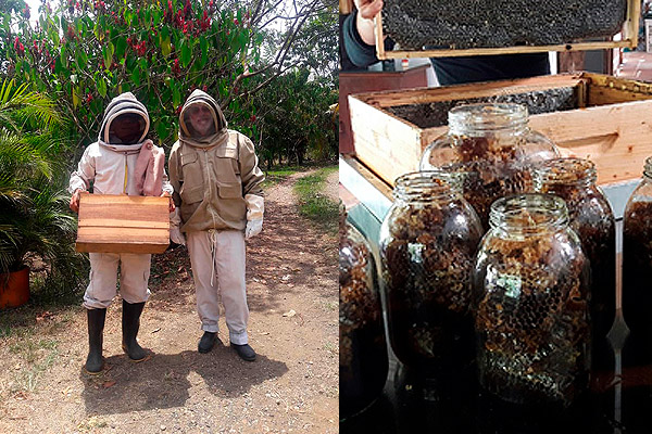Finca Herencia felino y Jose María con el traje de proteccion y productos del apiario