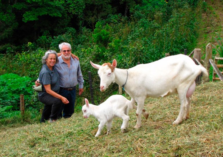 Finca Cabrita, en primer plano Andrea con su cabrito; en segundo Beatriz y Jose Ma.; atrás forrajes y al final bosque